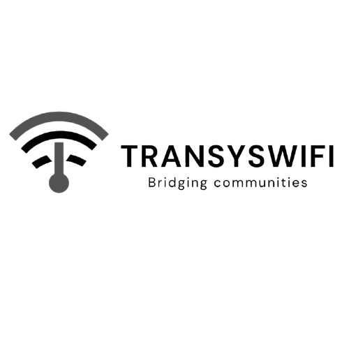 Transyswifi Logo Badge